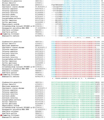 The transcription factor Ste12-like increases the mycelial abiotic stress tolerance and regulates the fruiting body development of Flammulina filiformis